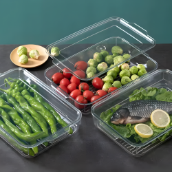 Plastic Storage Box with Lid